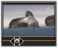 Avid Studio image002 Montage Editor