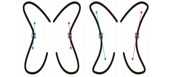 CorelDRAW shaping reflect nodes49 Mirroring changes in curve objects