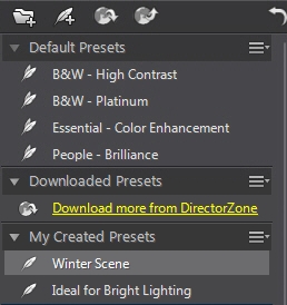 Photo Director presetst Using Adjustment Presets