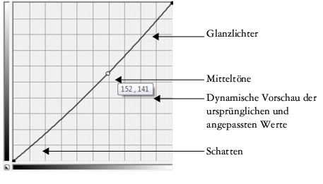 Photo Paint correct curve43 Anpassungsfilter verwenden