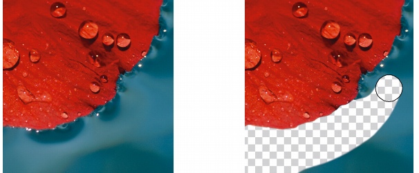 Photo Paint ret eraseimage Erasing image areas