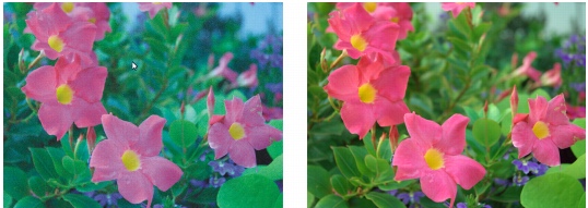 Ajuste del color y el tono de archivos RAW Photo Paint raw white bal incorr Ajuste del color y el tono de archivos RAW