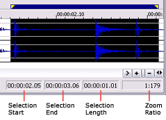 Sound Forge Pro selection Data Windows