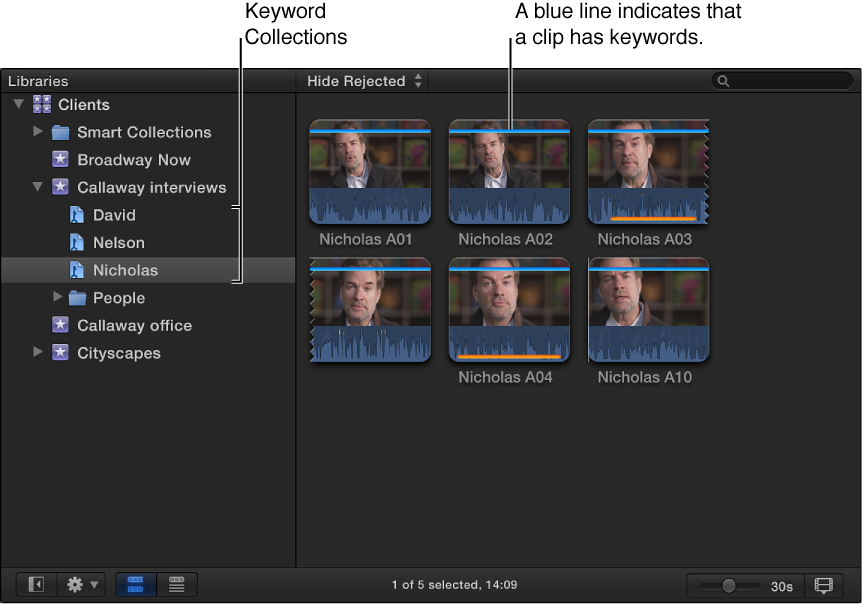 Browser displaying clips in Keyword Collection selected in Libraries list