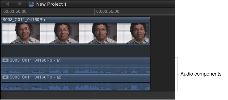 Clip in Timeline with expanded audio components