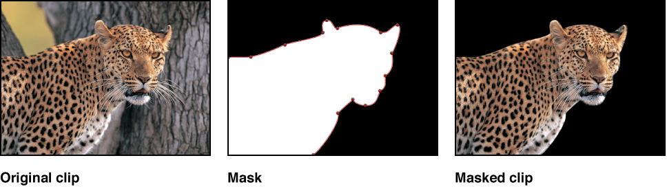 Diagram comparing the original image, the mask alpha channel, and the masked image