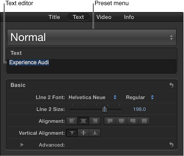 Basic section of Text inspector