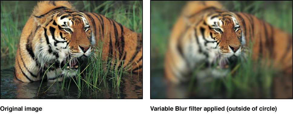 Canvas mit dem Effekt des Filters „Variabel weichzeichnen“