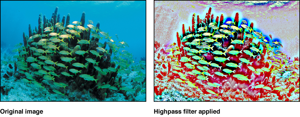 Canvas mit dem Effekt des Filters „Hochpass“