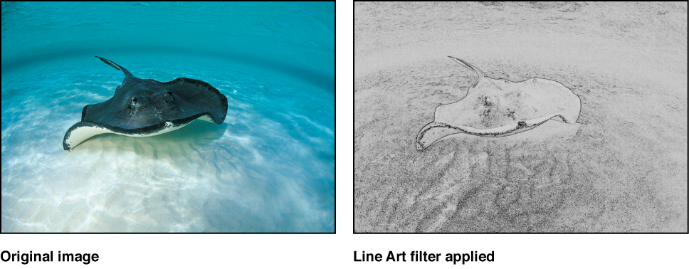Canvas mit dem Effekt des Filters „Strichzeichnung“