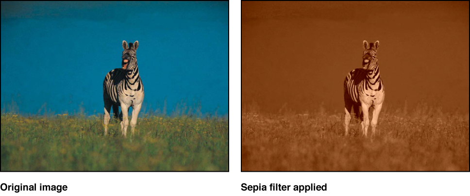Canvas mit dem Effekt des Filters „Sepia“