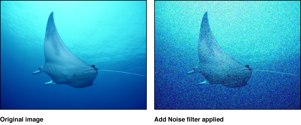 Canvas mit dem Effekt des Filters „Störungen hinzufügen“