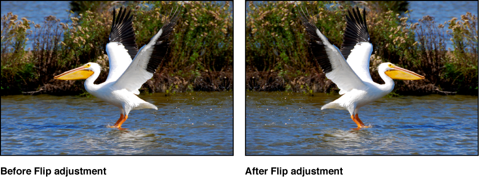 Figure. Image before and after a Flip adjustment.