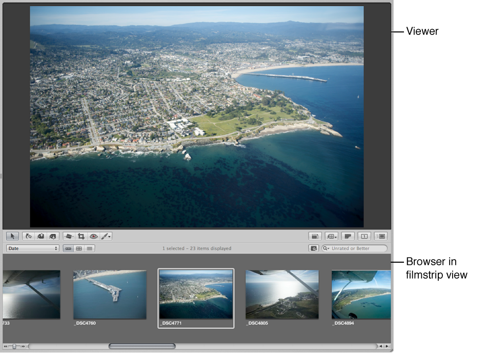 Figure. Browser in filmstrip view and the Viewer displaying the selected image.