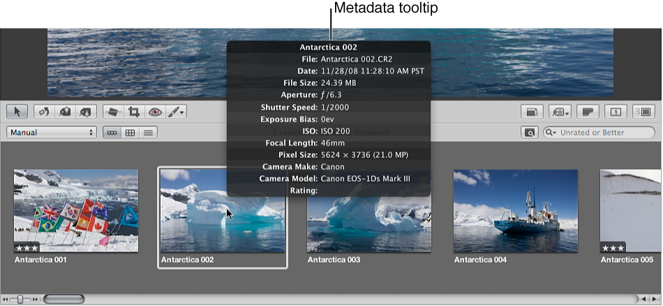 Figure. Metadata tooltip for an image selected in the Browser.