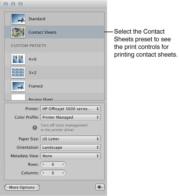 Figure. Default Contact Sheets print controls in the Print dialog.