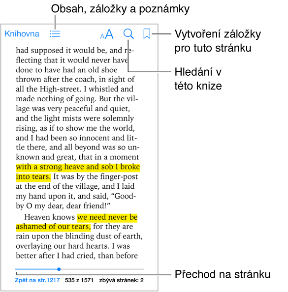 Stránka otevřené knihy. Nahoře se zleva doprava nachází tlačítko Knihovna, tlačítko obsahu, tlačítko vzhledu, vyhledávací tlačítko a tlačítko pro přidání záložky. Dole vidíte ovládací prvek pro výběr stránek.