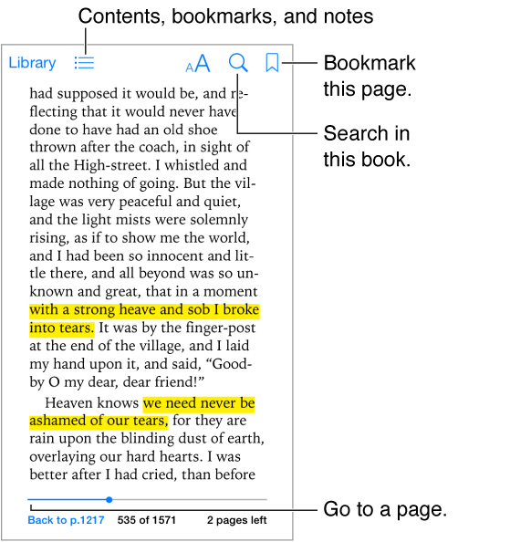 A page of a open book. Across the top are, from left-to-right, the Library button, the table of contents button, the appearance button, the search button, and the add bookmark button. At the bottom is the page chooser control.