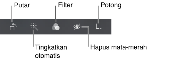 Pilihan edit meliputi putar, peningkatan-auto, filter, hapus mata merah, dan potong.