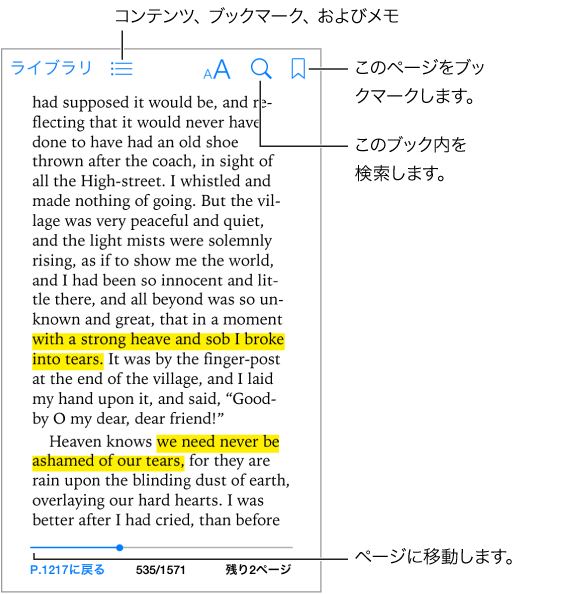 開いているブックのページ。 上部の左から右に、「ライブラリ」ボタン、目次ボタン、外観ボタン、検索ボタン、ブックマークの追加ボタン。 下部には、ページ・セレクタ・コントロールがあります。