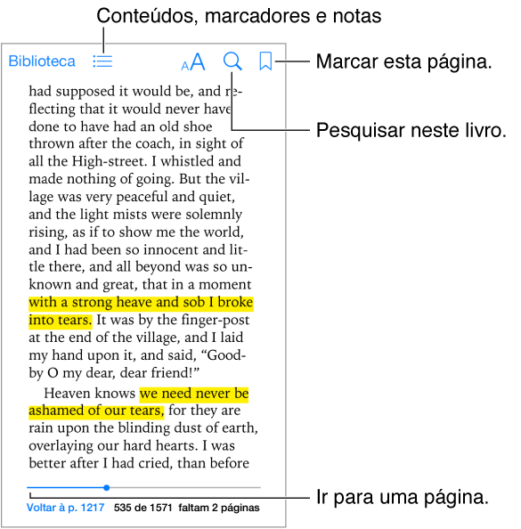 Página de um livro aberto. Na parte superior encontram-se, da esquerda para a direita, o botão da biblioteca, o botão do índice, o botão de aspecto, o botão de pesquisa e o botão de adicionar marcador. Na parte inferior encontra-se o controlo de selecção de página.