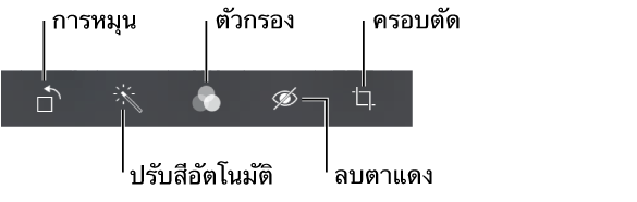 ตัวเลือกแก้ไขมีหมุน ปรับอัตโนมัติ ฟิลเตอร์ ลบตาแดง และครอบตัด