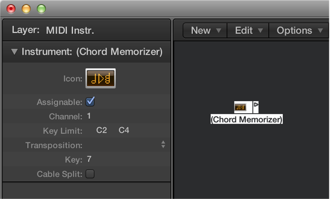 Figure. Environment window showing a chord memorizer object and its inspector.