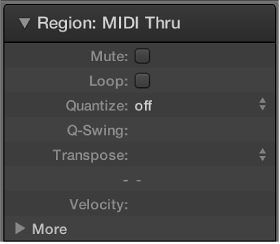 Figure. Quantize parameter in the Region inspector.