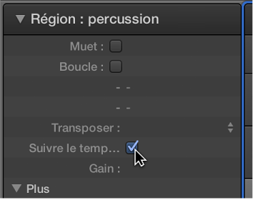 Figure. Case Suivre le tempo dans l’inspecteur de région.