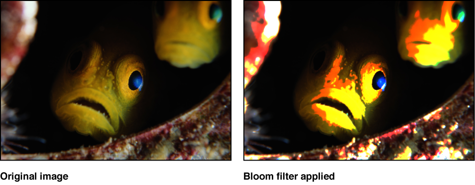 Canvas mit dem Effekt des Filters „Überstrahlen“