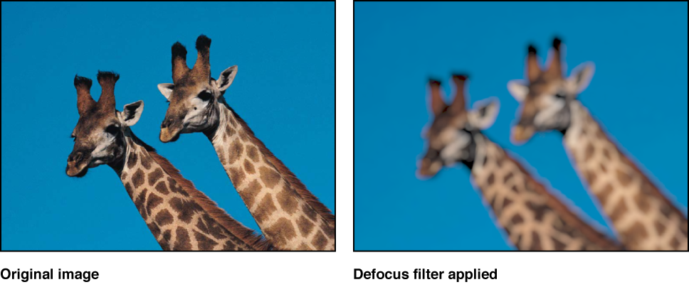 Canvas showing effect of Defocus filter