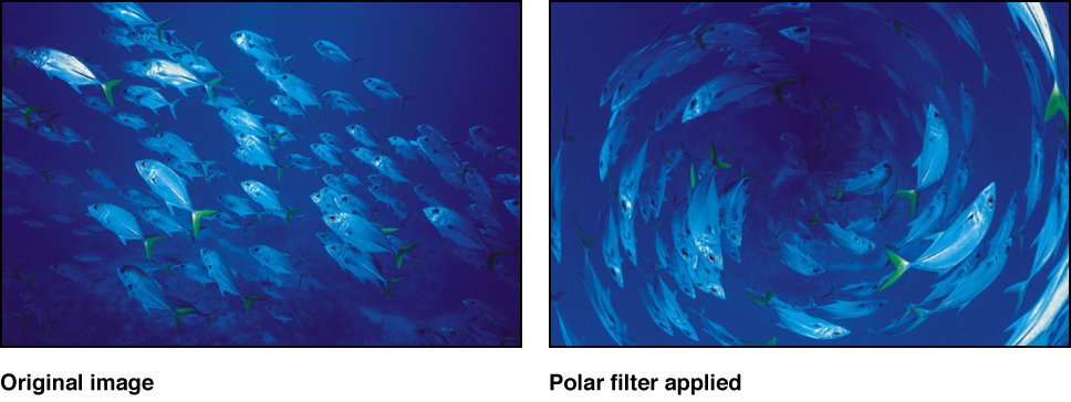 Canvas showing effect of Polar filter