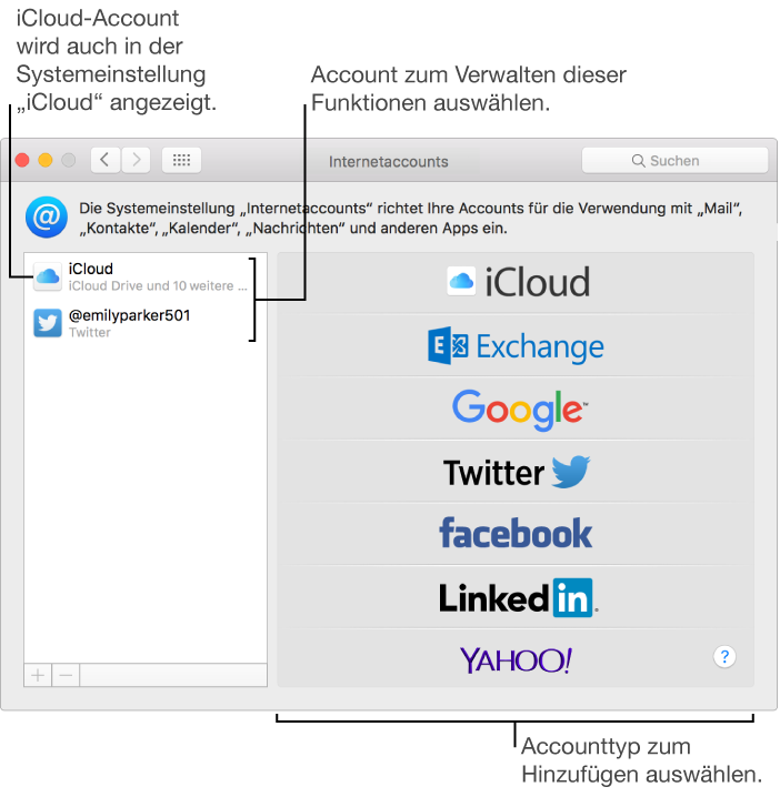 Bereich „Internetaccounts“ in den Systemeinstellungen mit iCloud- und Twitteraccounts rechts und den verfügbaren Accounttypen links.