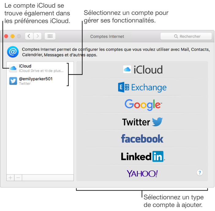 Sous-fenêtre Comptes Internet des Préférences Système avec les comptes iCloud et Twitter répertoriés à droite et les types de comptes disponibles à gauche