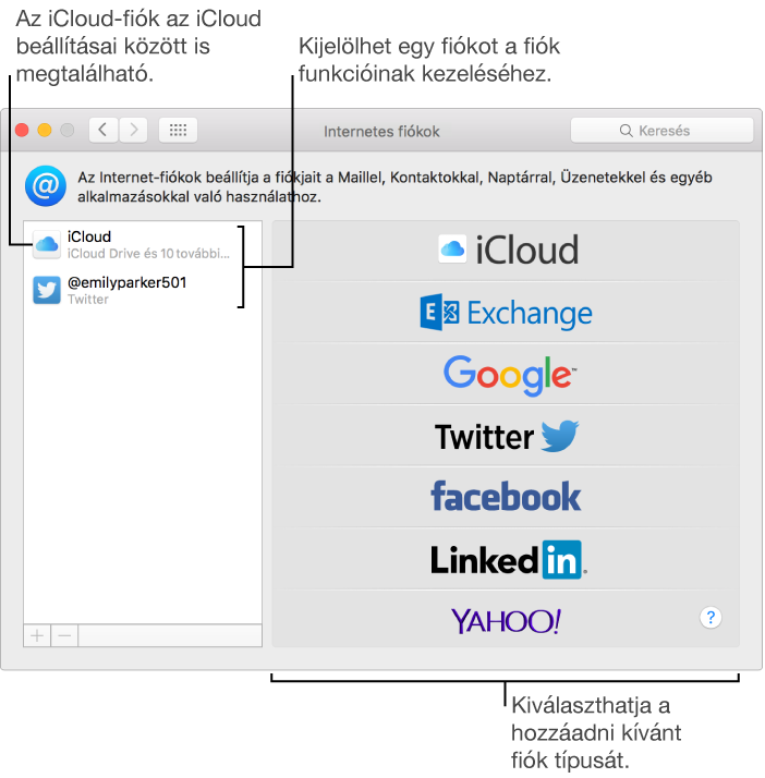 A Rendszerbeállítások Internetes fiókok panelje, ahol az iCloud- és Twitter-fiókok a jobb oldalon, az elérhető fióktípusok pedig a bal oldalon láthatók
