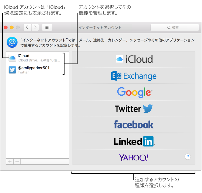 iCloud と Twitter のアカウントが右側に表示され、使用可能なアカウントの種類が左側に表示されている「システム」環境設定の「インターネットアカウント」パネル。