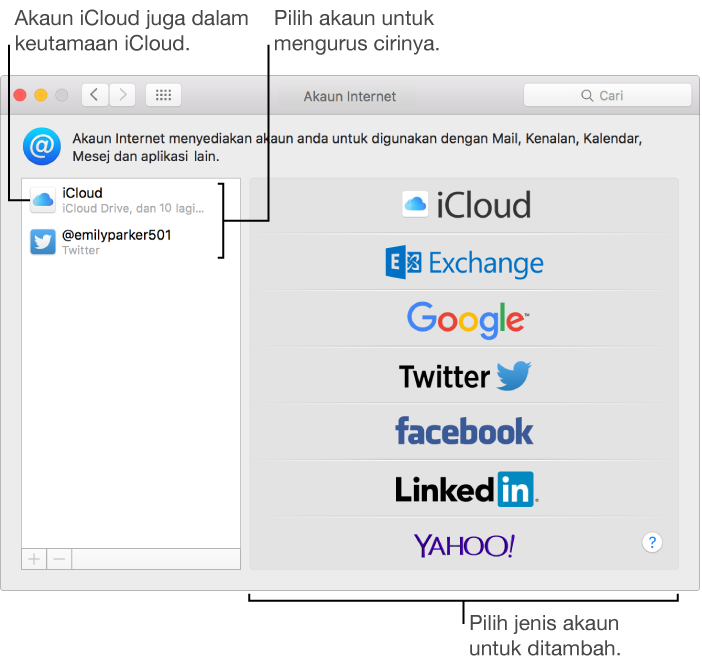 Anak tetingkap Akaun Internet dari Keutamaan Sistem dengan akaun iCloud dan Twitter tersenarai di sebelah kanan dan jenis akaun tersedia tersenarai di sebelah kiri