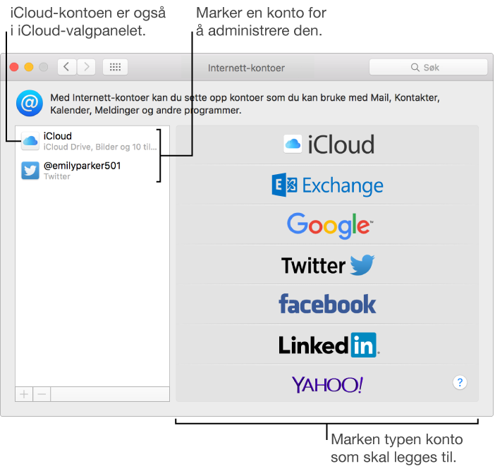 Internett-kontoer-valgpanelet i Systemvalg med iCloud- og Twitter-kontoer oppført til høyre og tilgjengelige kontotyper i listen til venstre