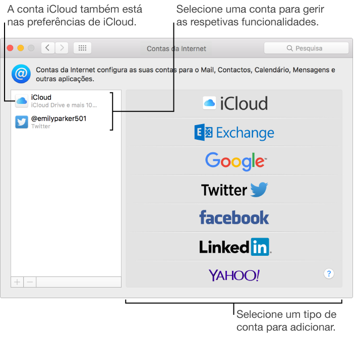 Painel das Contas da Internet das Preferências do Sistema com as contas de iCloud e do Twitter listadas à direita e os tipos de contas disponíveis listadas à esquerda