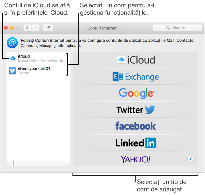 Panoul Conturi Internet din Preferințe sistem cu conturile iCloud și Twitter listate în partea dreaptă și tipurile de cont disponibile listate în partea stângă