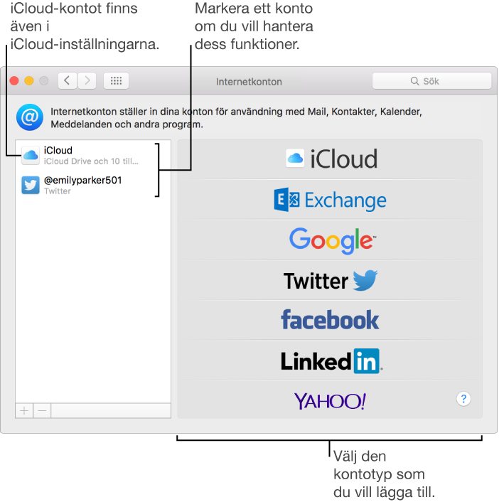 Panelen Internetkonton i Systeminställningar med iCloud- och Twitter-konton i listan till höger och tillgängliga kontotyper i listan till vänster