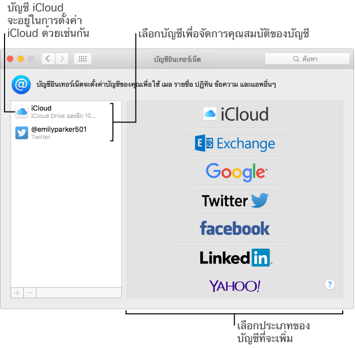 บานหน้าต่างบัญชีอินเทอร์เน็ตของการตั้งค่าระบบด้วยบัญชี iCloud และ Twitter อยู่ในรายการทางด้านขวา และประเภทบัญชีที่ใช้งานได้อยู่ในรายการทางด้านซ้าย