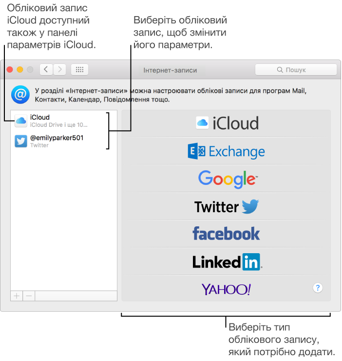 Панель «Інтернет-записи» в розділі «Системні параметри», у якій наведено облікові записи iCloud і Twitter праворуч, а також доступні типи облікових записів ліворуч