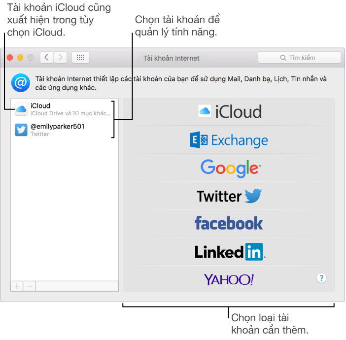 Khung Tài khoản Internet của Tùy chọn Hệ thống với các tài khoản iCloud và Twitter được liệt kê ở bên phải và các loại tài khoản khả dụng được liệt kê ở bên trái