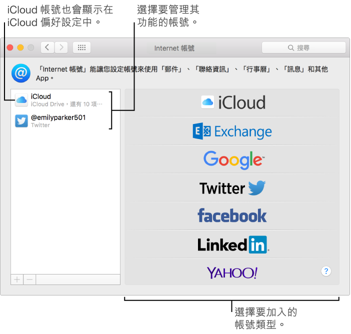 「系統偏好設定」的「Internet 帳號」面板，其右側列出 iCloud 和 Twitter 帳號，而左側則列出可使用的帳號類型