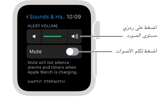 شاشة إعدادات Sounds & Haptics على Apple Watch. قم بتدوير Digital Crown أو اضغط على الرمزين لزيادة أو خفض مستوى صوت النغمات والتنبيهات. اضغط على Mute لكتم صوت Apple Watch.