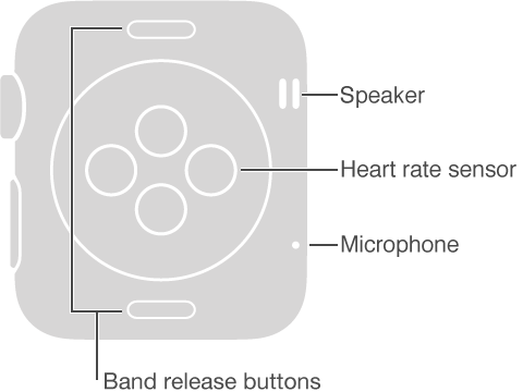 Back side of Apple Watch with these callouts to the side opposite the Digital Crown: Speaker, Microphone. Callout to buttons on top and bottom of the back side: Band release buttons: Press to slide out the band. Callout to disc-shaped raised area on center back: Heart rate sensor and charging pad.