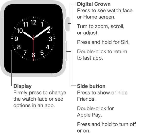 Front of Apple Watch with a callout to the Digital Crown/Home Button: Press to see watch face or Home screen. Double-click to return to last app. Press and hold for Siri. Turn to zoom, scroll, or adjust. Second callout is to the side button: Press to show or hide Friends. Double-click for Apple Pay. Press and hold to turn off or on. Third callout points to the display: Press to change watch face. In an app, press to see options.