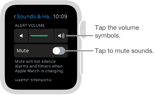 Sounds & Haptics settings screen on Apple Watch. Turn the Digital Crown or tap the volume symbols to increase or decrease the volume of ringers and alerts. Tap Mute to mute Apple Watch.