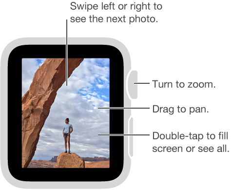 While viewing a photo, turn the Digital Crown to zoom, drag to pan, or double-tap to switch between viewing all of the photo and filling the screen. Swipe left or right to see the next photo.